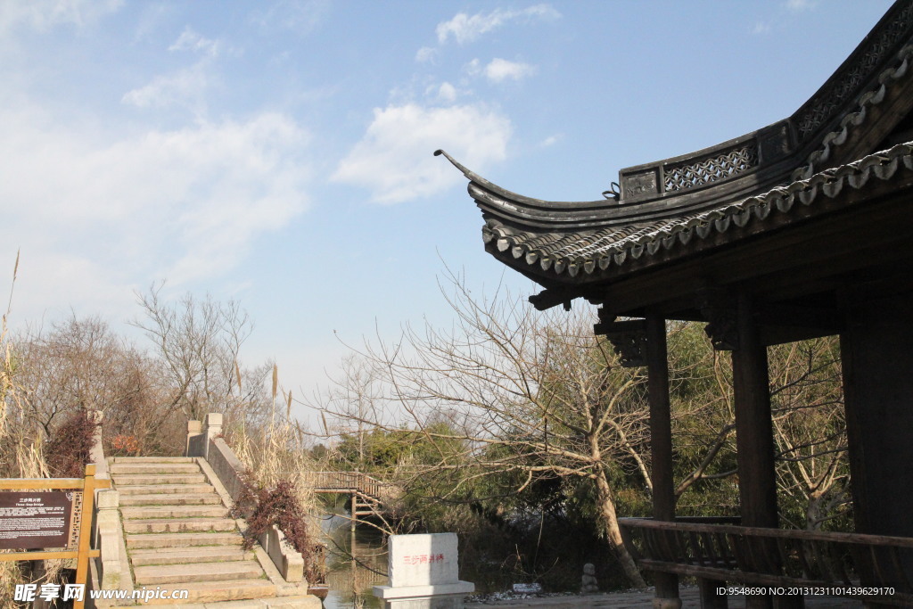 冬季梅花洲