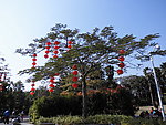 新年树