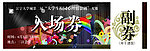 晚会门票