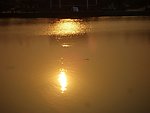 夕阳倒影