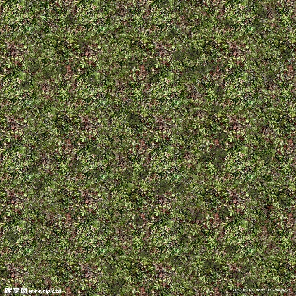 高清地表草地植物森林
