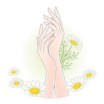 美容鲜花美手