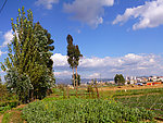 农村风景