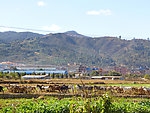 农村风景