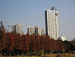 楼宇
