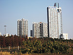 城市