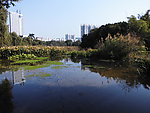 湖水