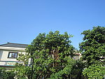 蓝天建筑