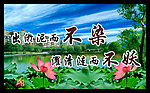 出淤泥而不染