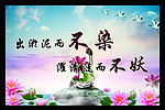 出淤泥而不染