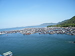 蓝天碧水