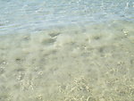大海海浪