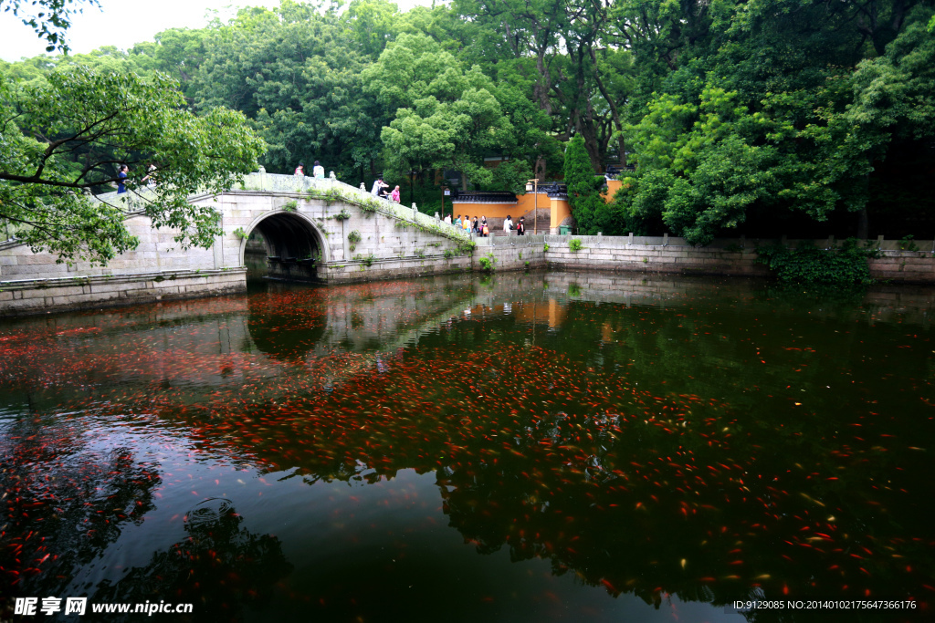 普陀山法雨寺