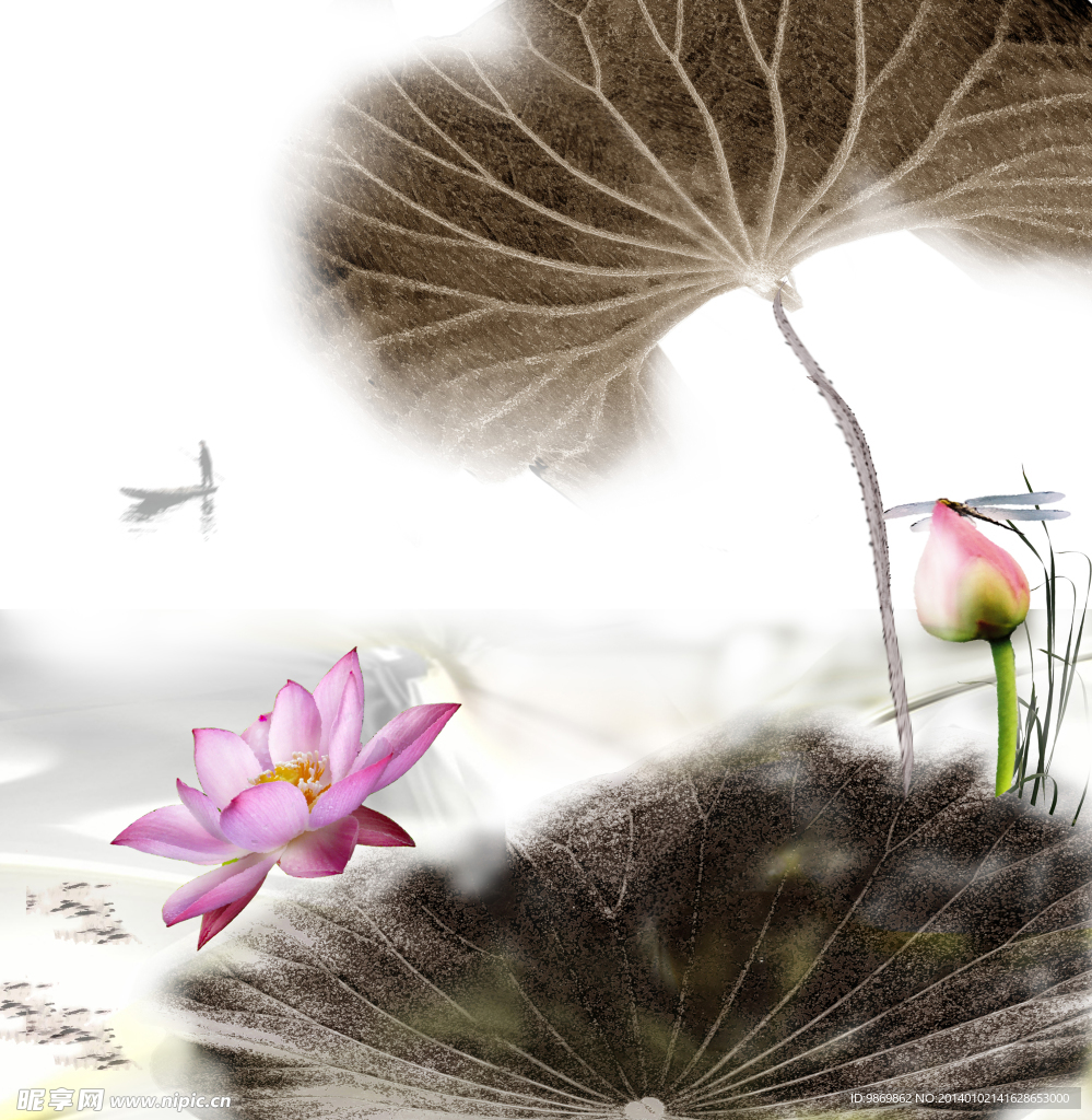 荷花水墨画