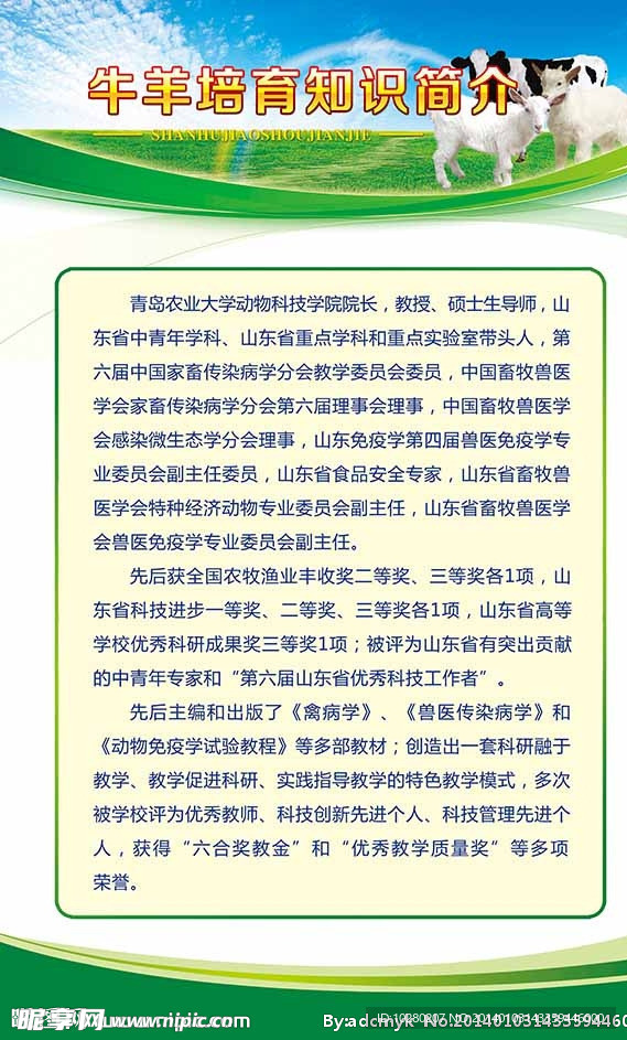 展板设计模板 牛羊