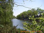 春来北京