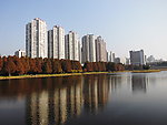 房地产