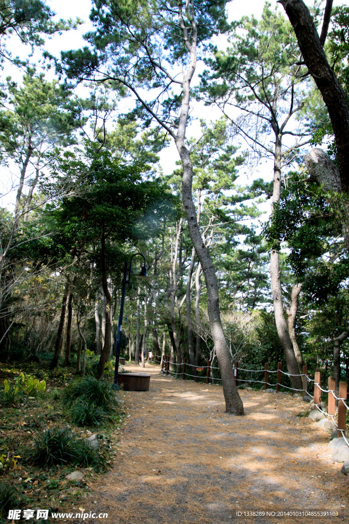 济州鸟岛小路