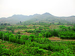 风景