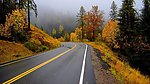 远方的路