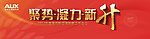 聚势凝力新升