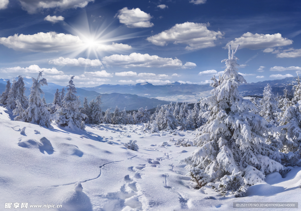 雪景