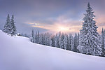 雪景