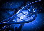 DNA遗传基因