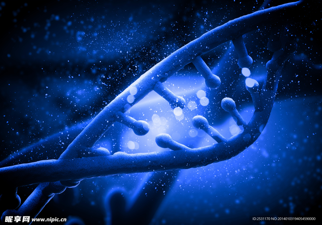 DNA遗传基因
