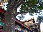 水上公园