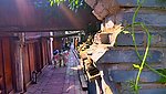 乌镇