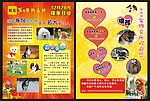 宠物宣传单