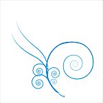 花纹