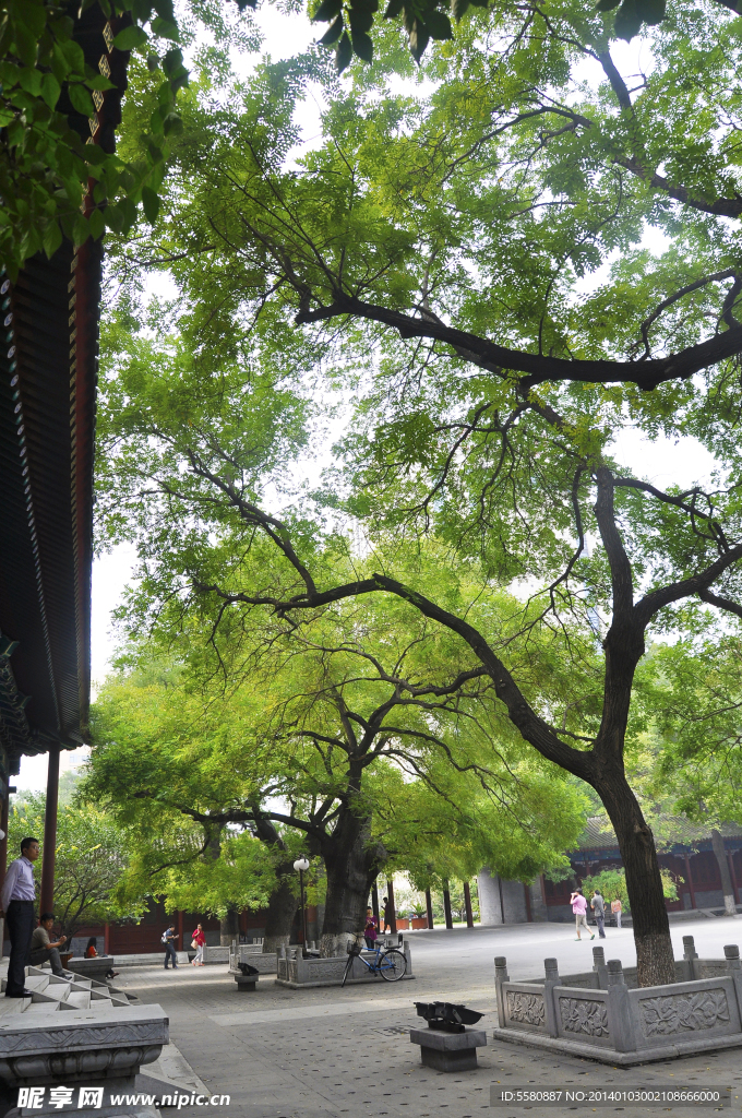 北京胡同