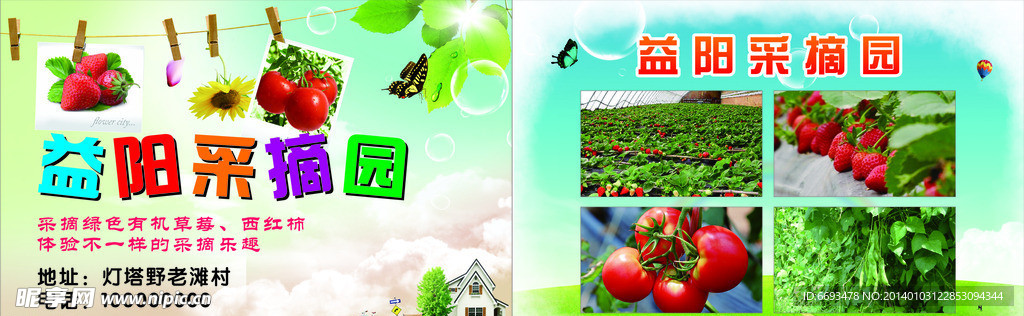 采摘传单