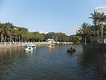 湖泊 海洋 公园