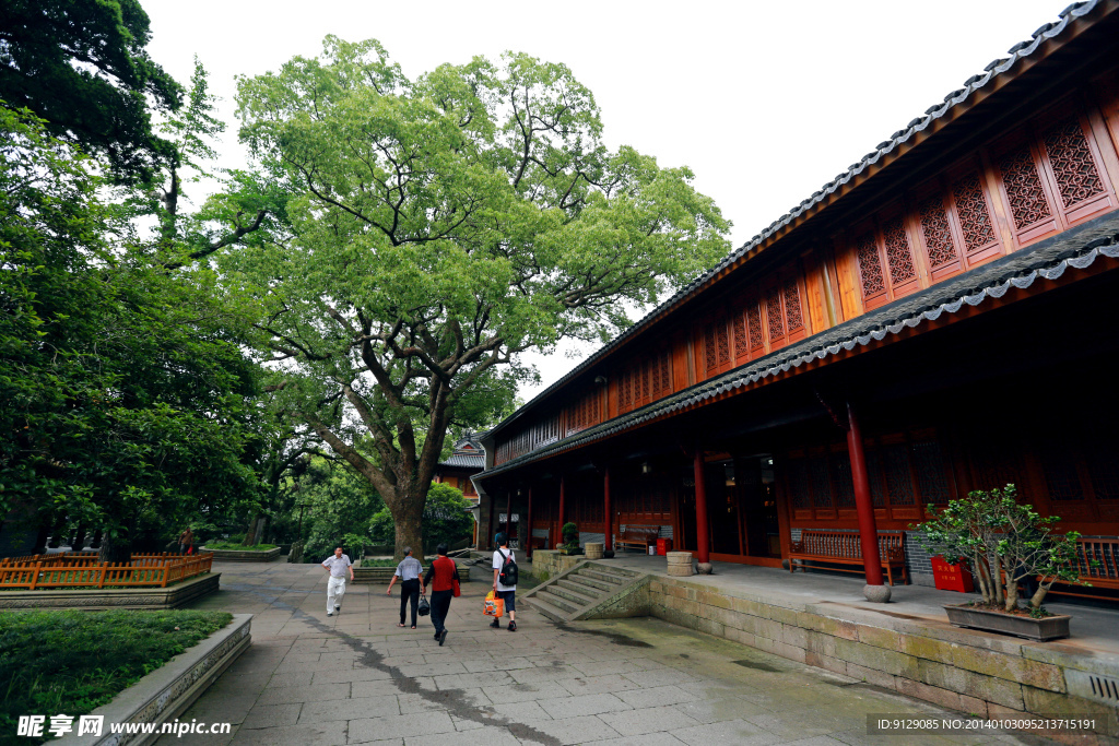 普陀山法雨寺