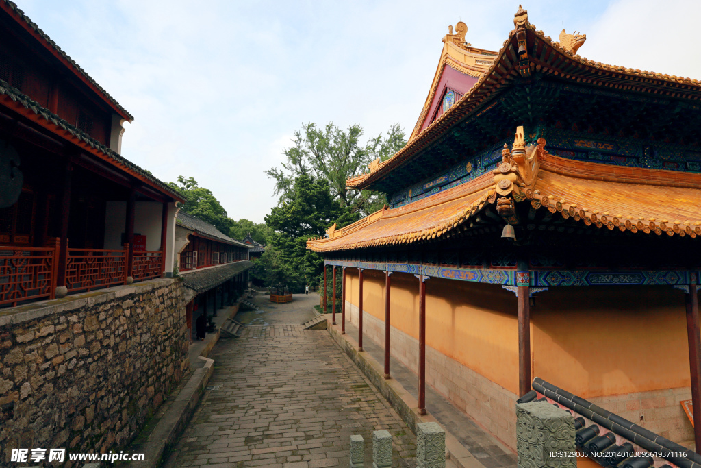 普陀山法雨寺