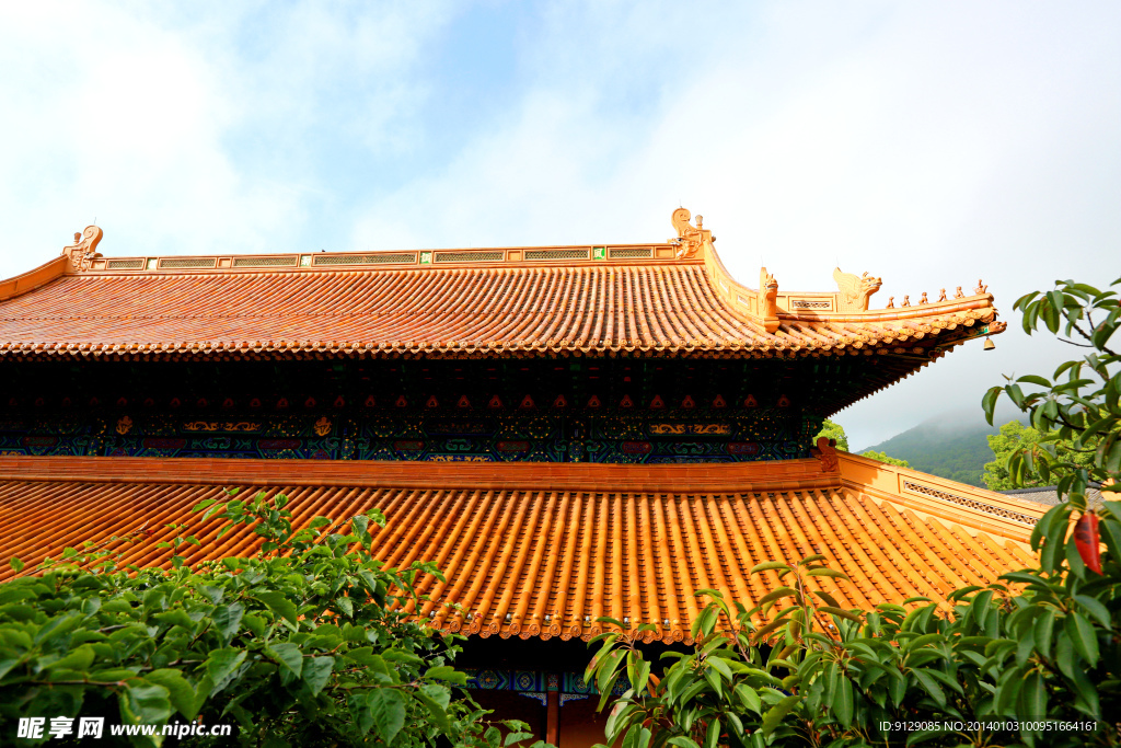 普陀山法雨寺