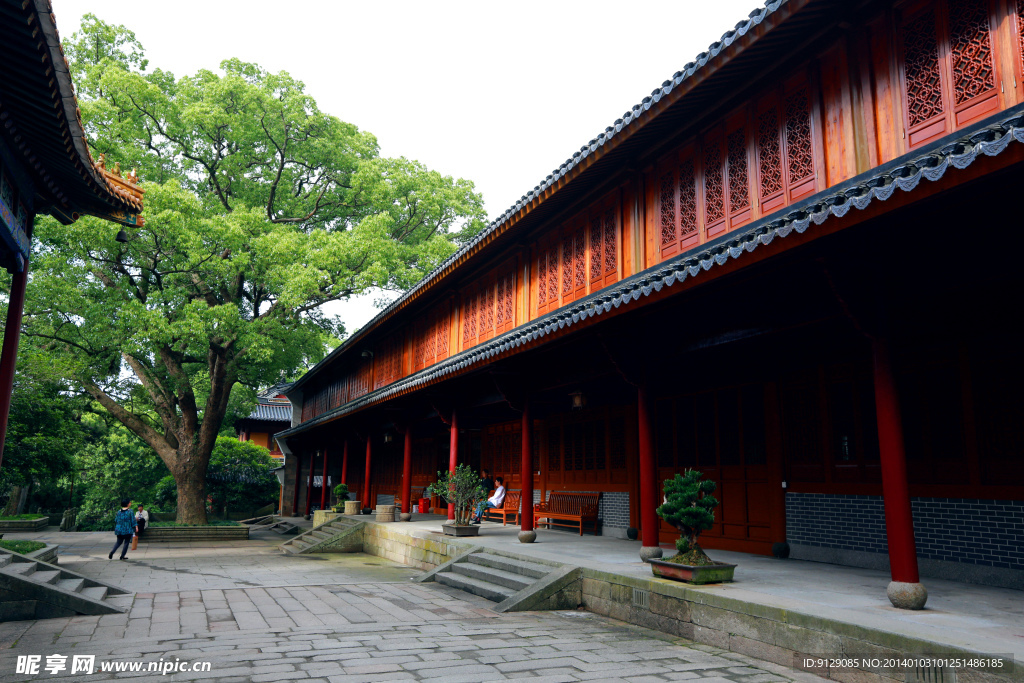 普陀山法雨寺