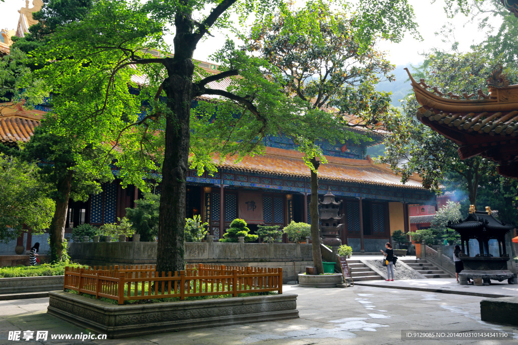 普陀山法雨寺