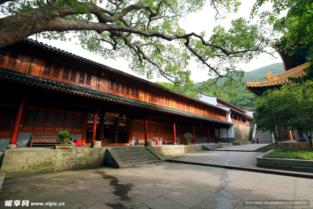 普陀山法雨寺