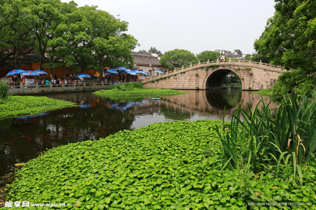 普陀山普济禅寺