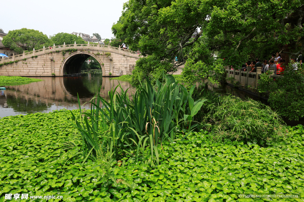 普陀山普济禅寺