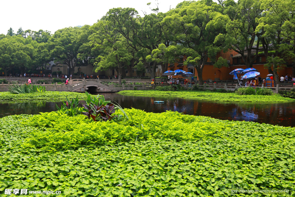 普陀山普济禅寺