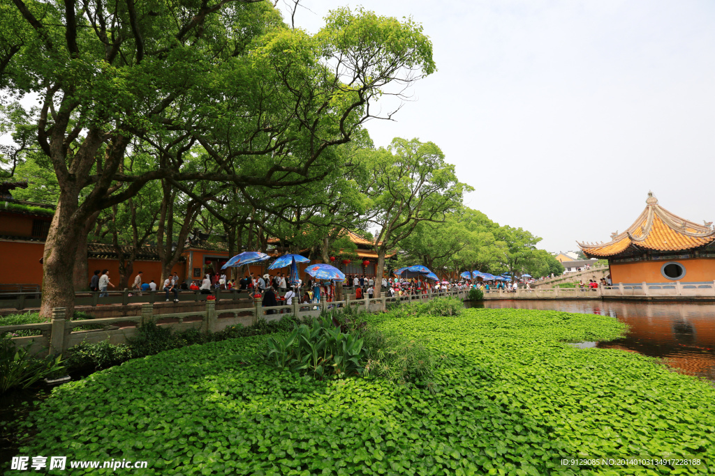 普陀山普济禅寺