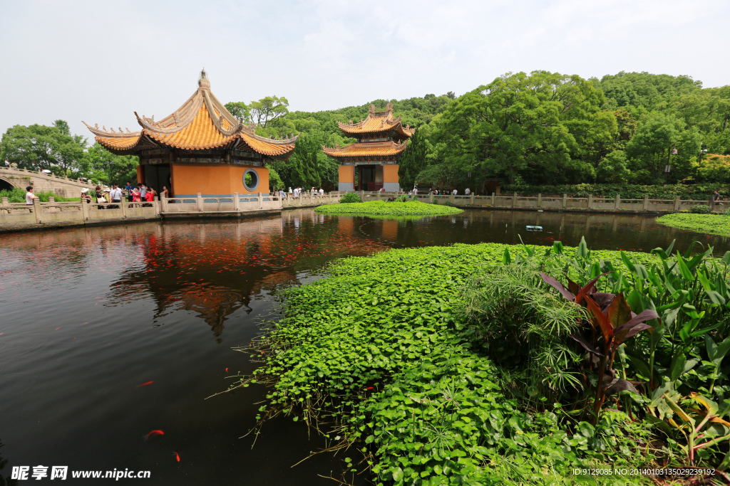 普陀山普济禅寺