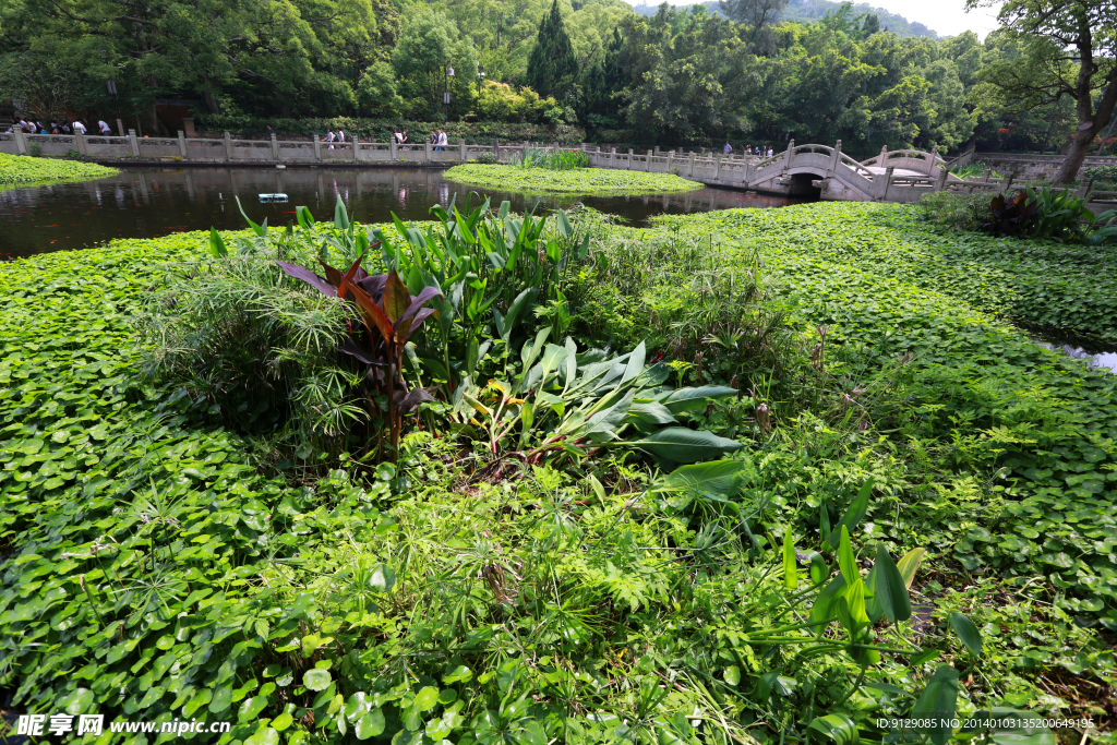 普陀山普济禅寺