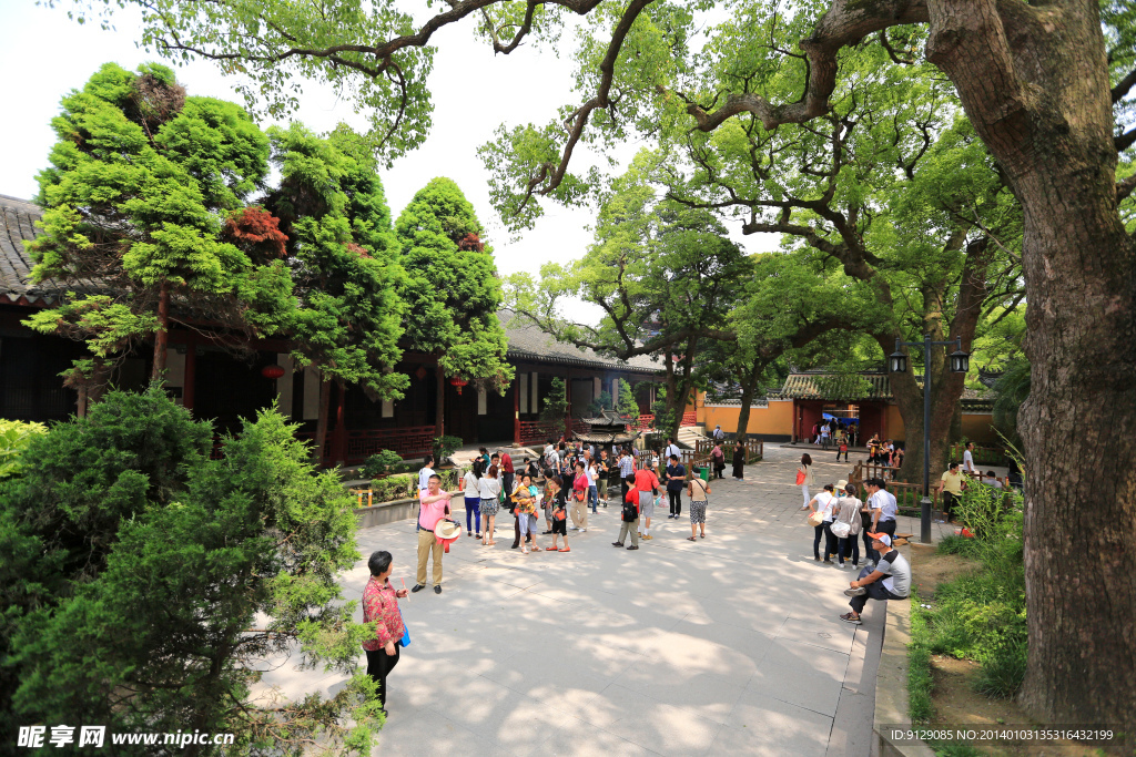 普陀山普济禅寺