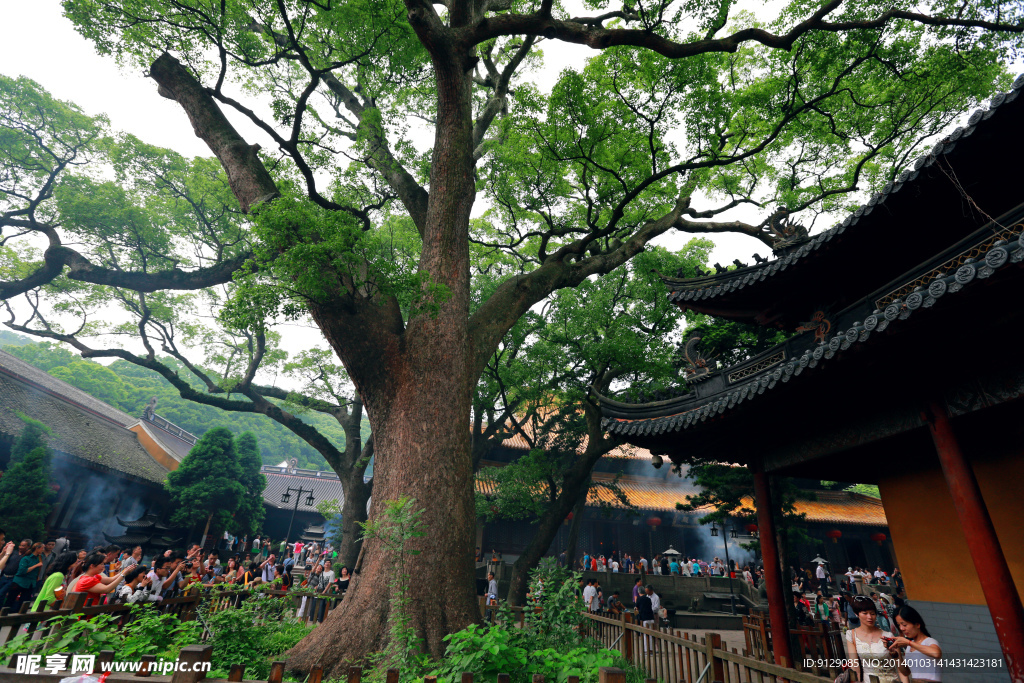 普陀山普济禅寺